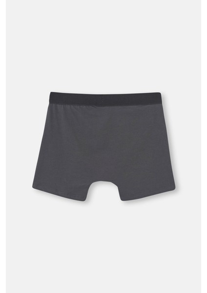 Erkek Spor Pamuklu Boxer D5213 fiyatları