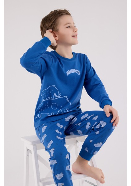 Erkek Çocuk Mavi Pijama Takımı fiyatları
