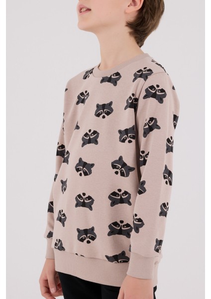 Erkek Çocuk Kahverengi Eşofman Takımı fırsatları