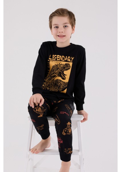 Erkek Çocuk Siyah Pijama Takımı fiyatları