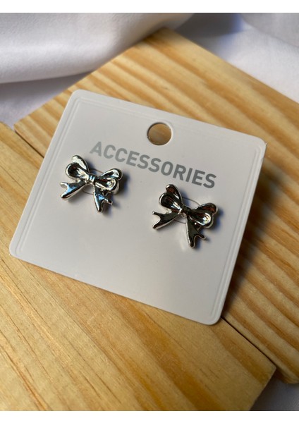 Kararmaz Çelik Fiyonk Detaylı Gümüş Küpe