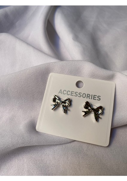 Kararmaz Çelik Fiyonk Detaylı Gümüş Küpe