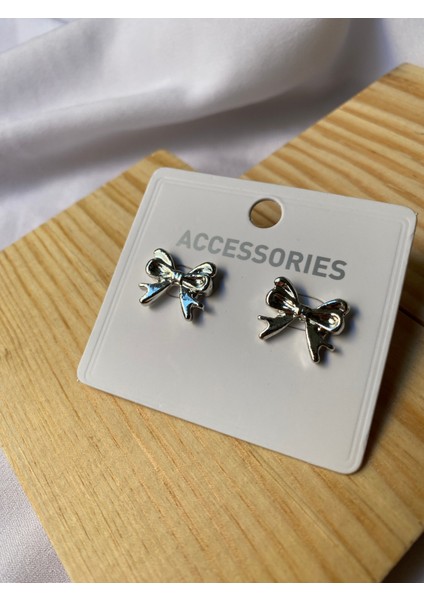 Kararmaz Çelik Fiyonk Detaylı Gümüş Küpe