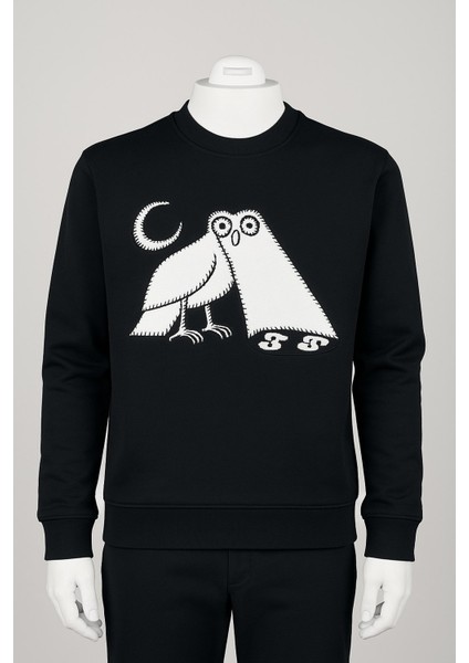 Unisex Erkek/kadın Yüksek Kalite Baykuş Nakışlı Pamuklu Kapüşonlu Sıfır Yaka Siyah Sweatshirt fiyatları