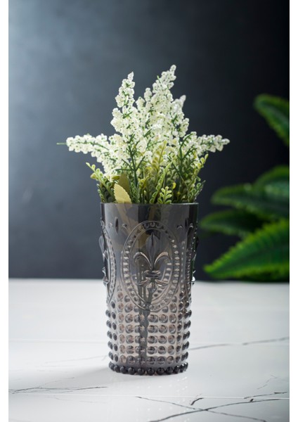 Akrilik Füme Uzun Bardak & Su Meşrubat Bardağı 750 ml ( Cam Değildir ) modelleri