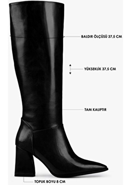 Kadın Tiago Siyah Cilt Çizme Suni Deri Klasik Tasarım 8 cm Topuklu fırsatları