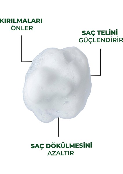 Biotin Şampuan indirimleri