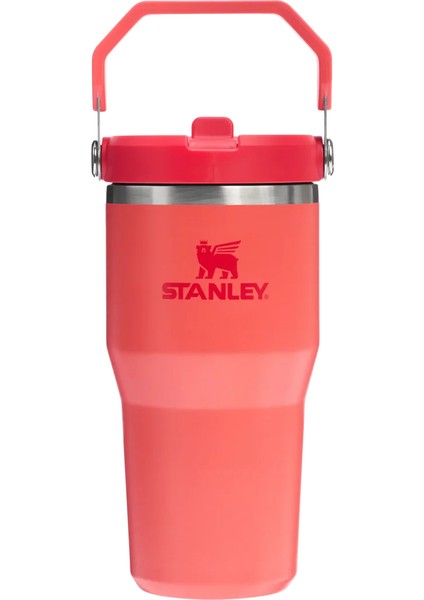 The Iceflow Flip Straw Tumbler Pipetli Termos 0.60 Lt.