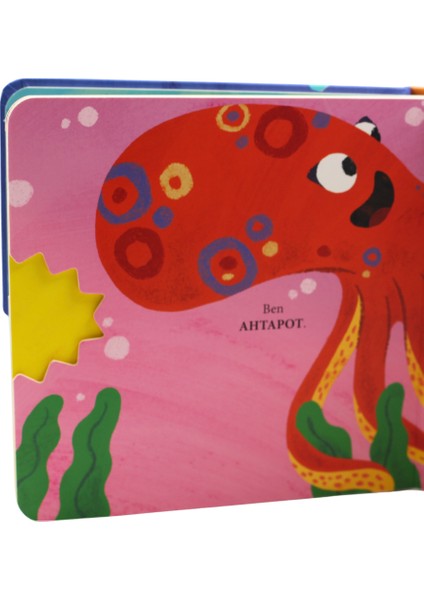 Kaplumbağa’nın Kitabını Kim Yedi? modelleri