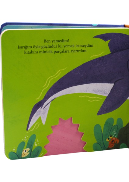 Kaplumbağa’nın Kitabını Kim Yedi? indirimleri