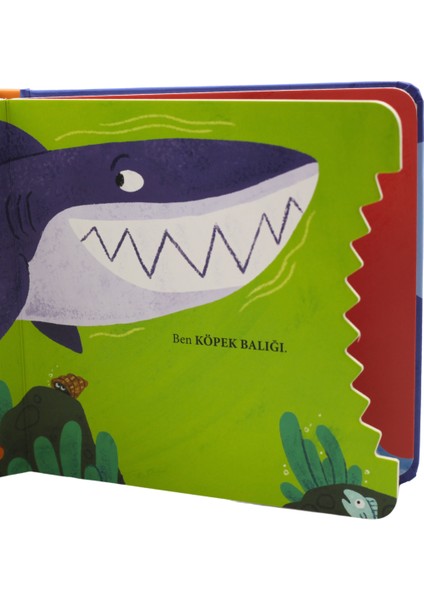 Kaplumbağa’nın Kitabını Kim Yedi?