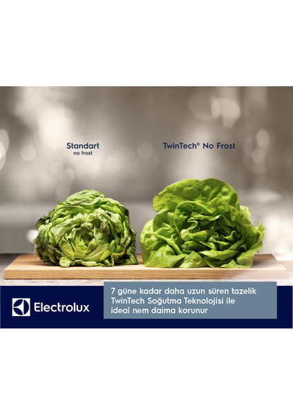 LNT7MD58B 700 Serisi TwinTech No Frost D Enerji Sınıfı Inverter Alttan Donduruculu Buzdolabı Koyu Inox