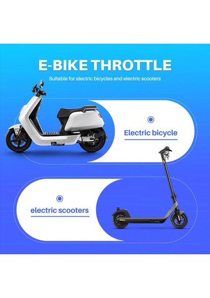 48V Elektrikli Bisiklet Scooter Hız Gaz Kelepleme Grip LCD Ekran Switch Ebike Twist Grottle Hızlandırıcı Gidon Kavruğu (Yurt Dışından) indirimleri