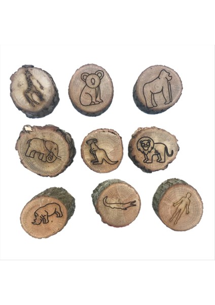 9 Adet Hayvan Izleri Damgalar Kalıp Hayvan Ayak Izleri Gravür Ahşap Çocuk Oyuncakları Çamurlu Zemin Kar Alanı Basamak Baskısı Orman (Yurt Dışından)