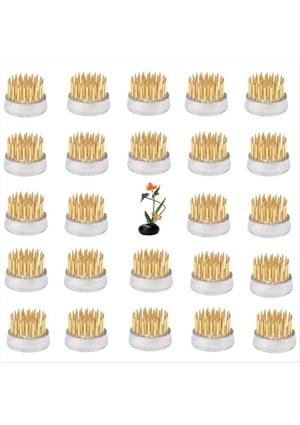 Düzenlemeler Için Çiçek Kurbağaları Tutucu Çiçek Kurbağası Sınıf Öğretimi Ev Ofis Için Kurbağa (0 9 Inç 24 Pc) (Yurt Dışından) fiyatları