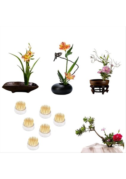 Düzenlemeler Için Çiçek Kurbağaları Tutucu Çiçek Kurbağası Sınıf Öğretimi Ev Ofis Için Kurbağa (0 9 Inç 24 Pc) (Yurt Dışından) fırsatları