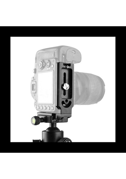 21PCS Sıcak Ayakkabı Adaptörü Montaj Kamera Top Kafa Seti ve 5pcs 1/4 Inç Plaka Montaj Vidası D-Ring Vidası Adaptörü (Yurt Dışından) fırsatları