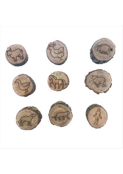 9 Adet Hayvan Izleri Damgalar Kalıp Hayvan Ayak Izleri Gravür Ahşap Çocuk Oyuncakları Çamurlu Zemin Kar Alanı Adım Baskılar Çiftliği (Yurt Dışından)