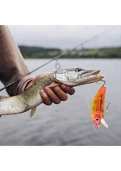 Balıkçılık Yemleri Balık Tutma Meraklıları Için Ayarlanan Kutu Sınır Ötesi Noel Leri (Yurt Dışından) fırsatları