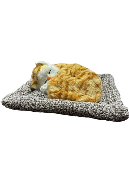 Minderde Uyuyan Büyük Gerçekçi Kedi