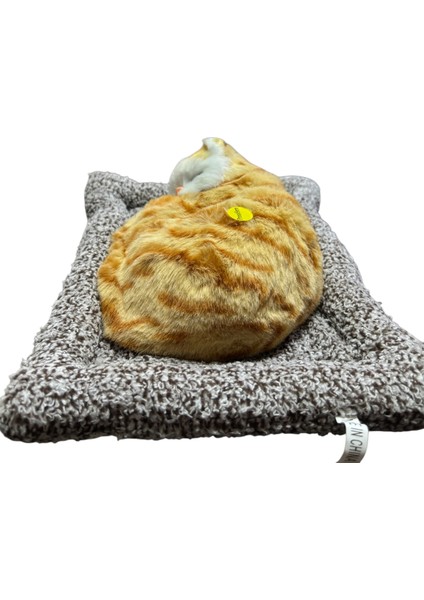 Minderde Uyuyan Büyük Gerçekçi Kedi fiyatları