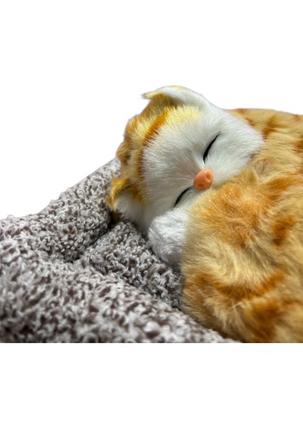 Minderde Uyuyan Büyük Gerçekçi Kedi modelleri