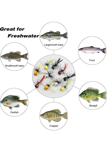 20PCS Sinek Balıkçılık Poppers Topsu Balıkçılık Yemleri Bas Crappie Bluegill Panfish Alabalık Somon Levrek Çelik Kafalı Sinekler (Yurt Dışından) modelleri