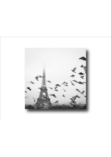 Dekoratif 60X60 Kanvas Tablo ST-1042