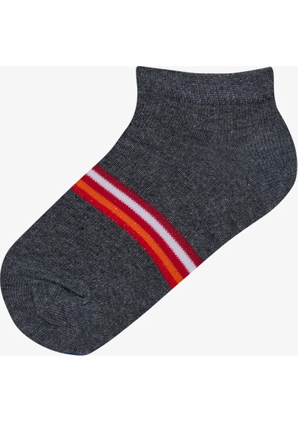 Erkek Çocuk Bright Stripe 4lü Patik Çorap