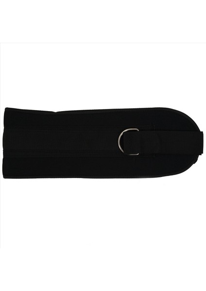 Zincir Spor Salonu Kemeri ile 2x Daldırma Kemeri Halter Için Halter Eğitim Salonu Aksesuarları Için Tokalı Kemeri Çektirin (Yurt Dışından) fırsatları