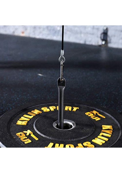 2x 3 0m Spor Salonu Halat Ağır Hizmet Tipi Çelik Wirerope Ev Kablo Makinesi Fitness Kasnak Aksesuarları (Yurt Dışından) indirimleri