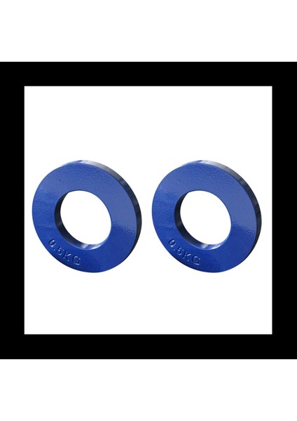 2x Fraksiyonel Ağırlıklar Fraksiyonel Ağırlıklar Mini Ağırlık Plakaları Kuvvet Antrenman Plakaları Doğru Disk Aksesuar Mavi 0 5kg (Yurt Dışından) fiyatları