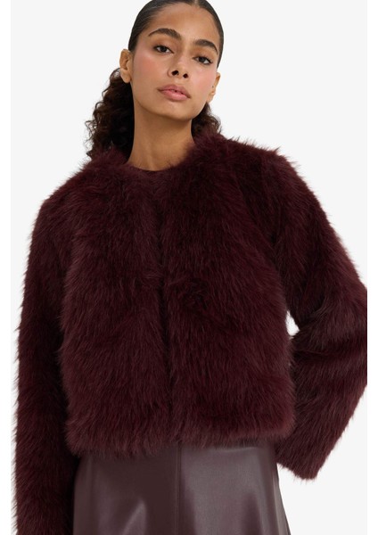 Regular Fit Kısa Suni Kürk F2147AX25WN