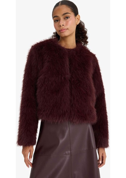 Regular Fit Kısa Suni Kürk F2147AX25WN modelleri