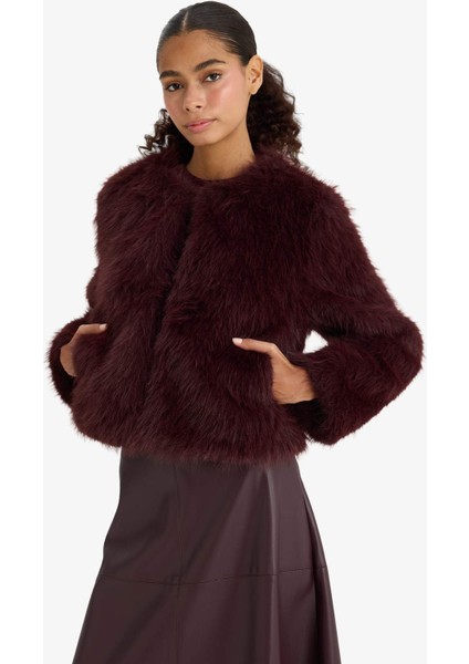 Regular Fit Kısa Suni Kürk F2147AX25WN fırsatları