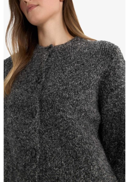 Regular Fit Bisiklet Yaka Triko Düğmeli Hırka F1103AX25AU indirimleri