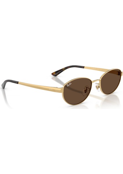 Rayban 0RB3774D 001/73 55 Unisex Günes Gözlük