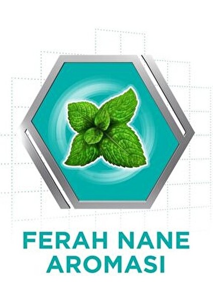 Naneli Diş Protezi Yapıştırıcı Krem Krem Renk 40 gr x 3 Adet Güçlü Yapıştırma fırsatları