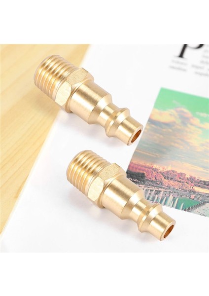 Pirinç 1/4 Inç Npt Erkek Hava Hortumu Hızlı Bağlantı Adaptörü, Hava Kuplör Fiş Kiti, Hava Kompresör Bağlantıları 10PCS (Erkek Npt) (Yurt Dışından)