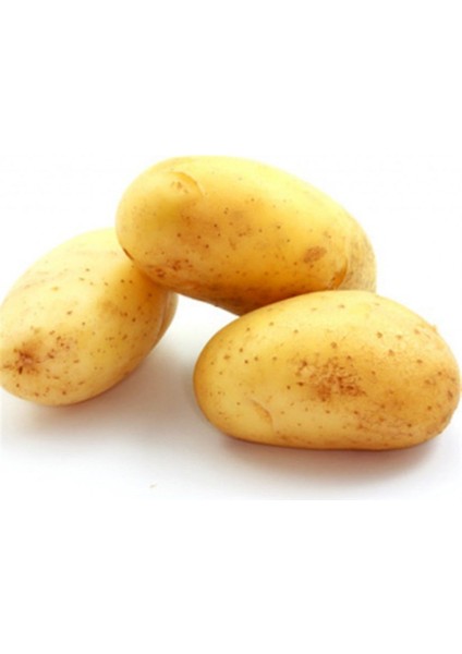 Kumpir Patates (2 Kg) fiyatları