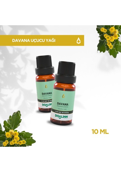 Davana Uçucu Yağı 10 ml modelleri