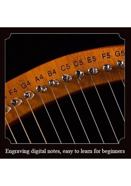 Lir Harp 19 String Yeni Başlayanlar Harp, Taşınabilir 19 Tonlu Küçük Harp 19 String Lir Müzikal Enstrümanlar Masif Ahşap Lir Harp (Yurt Dışından) fiyatları