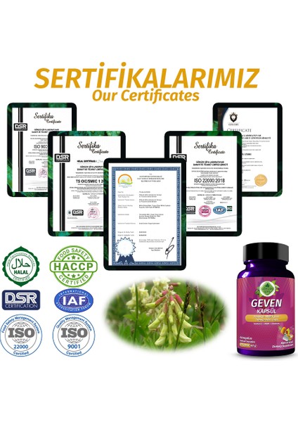 Şifa Geven Kapsül (ASTRAGALUS CAPSULE) fırsatları