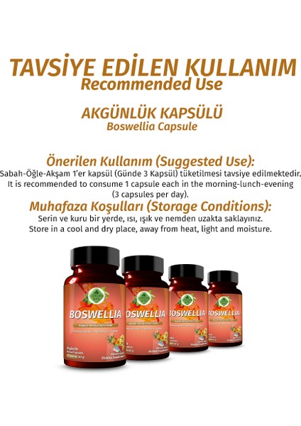 Şifa Akgünlük Kapsül (BOSWELLİA CAPSULE) fırsatları