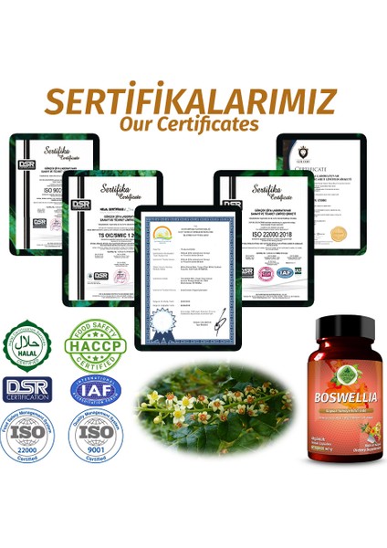 Şifa Akgünlük Kapsül (BOSWELLİA CAPSULE) indirimleri