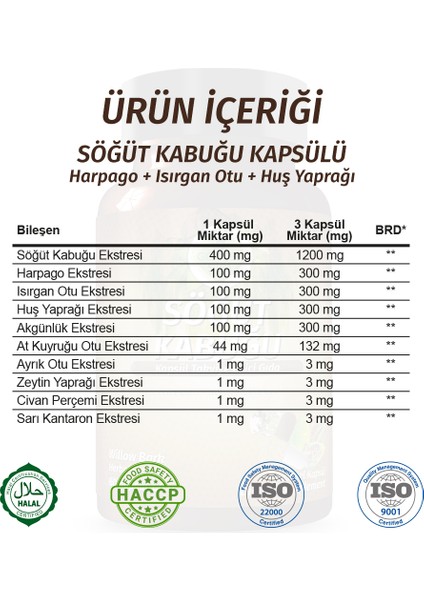 Şifa Söğüt Kapsül (WİLLOW CAPSULE) modelleri