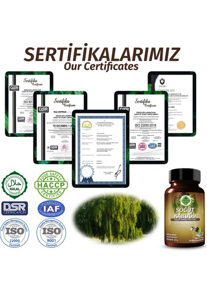 Şifa Söğüt Kapsül (WİLLOW CAPSULE) fırsatları