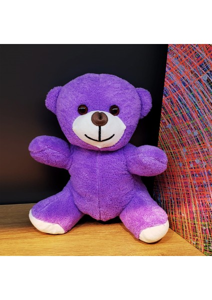 Peluş Mor Ayıcık