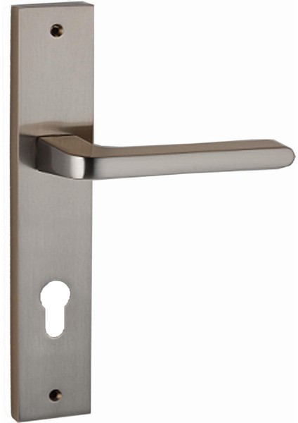 Paris Aynalı &amp; Rozetli Kapı Kolu