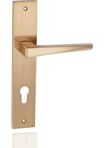 Madrid Aynalı &amp; Rozetli Kapı Kolu